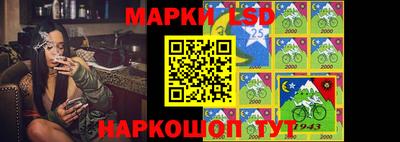 шишки Беслан