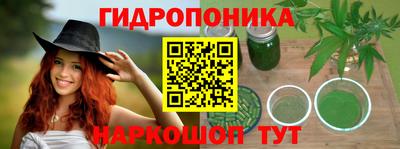 стафф Бийск