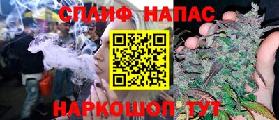 шишки Беслан